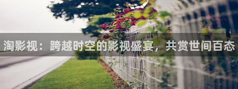 日韓歐美理論電影